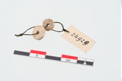 Foto von Kalksteinringperle (NHMW-PRAE-024929)